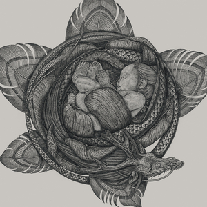 张柏芝扒开双腿
