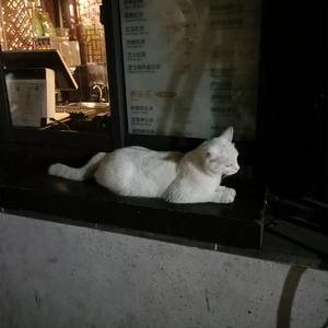 张柏芝扒开双腿
