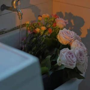 张柏芝扒开双腿
