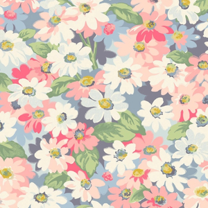 张柏芝扒开双腿
